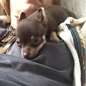 Meet your Posher, Courtney